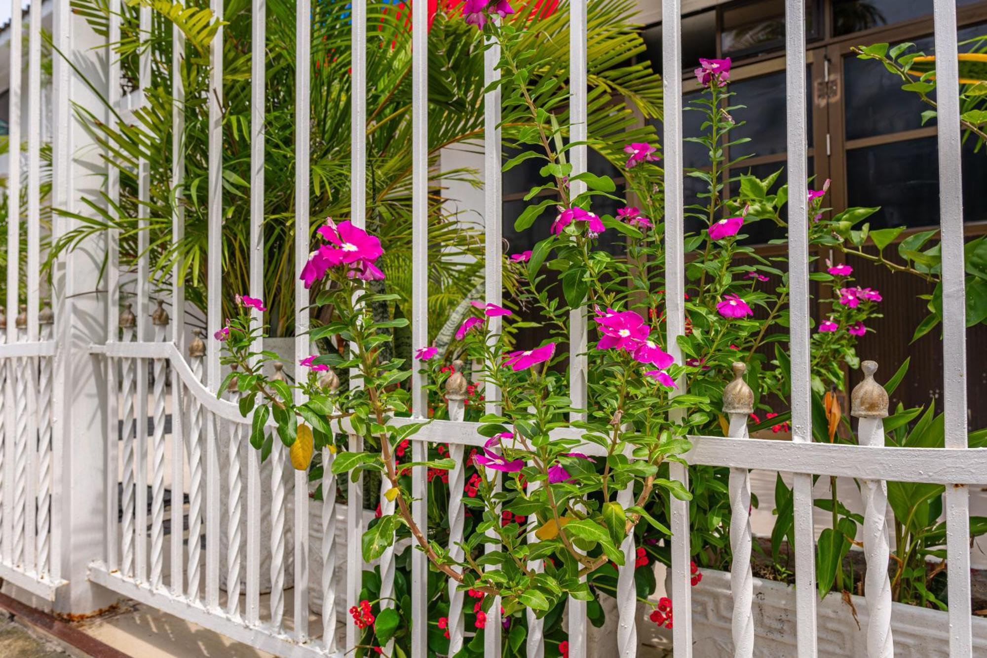 Oresca Hostel Cartagena Exteriér fotografie
