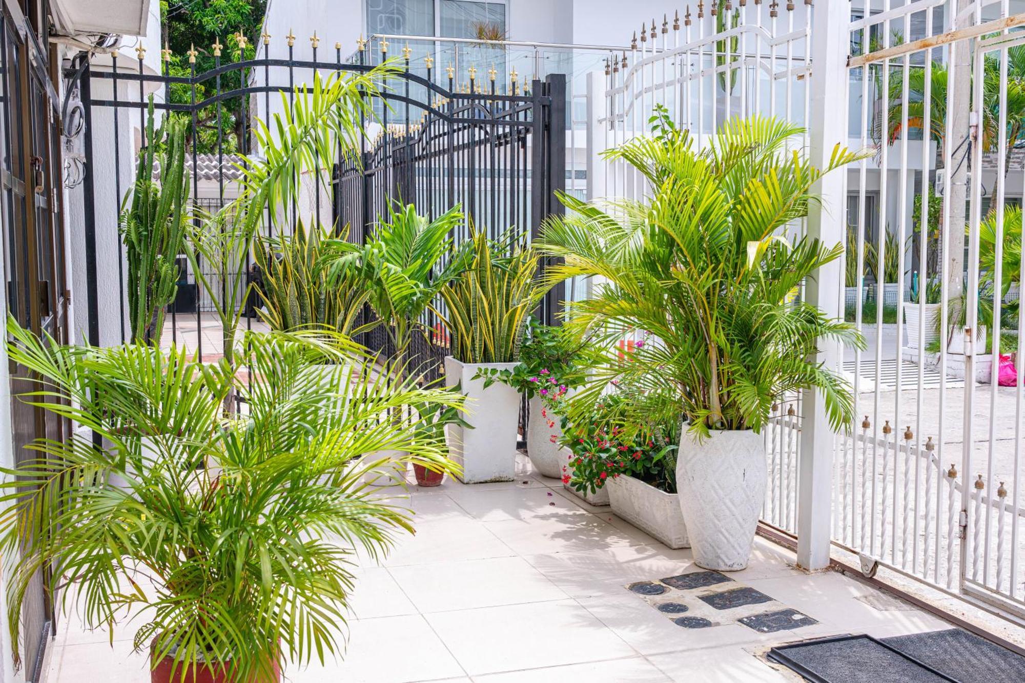Oresca Hostel Cartagena Exteriér fotografie